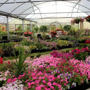 organic nursery in Boise