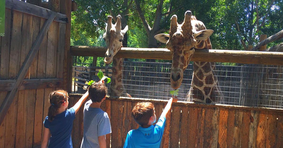 Fun activities for kids's in Boise - Family friendly community - Idaho