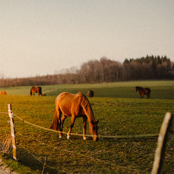 Living in Middleton, Idaho