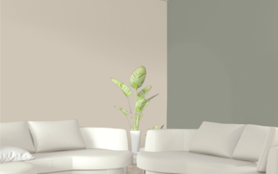 Colors that Sell in Boise Real Estate