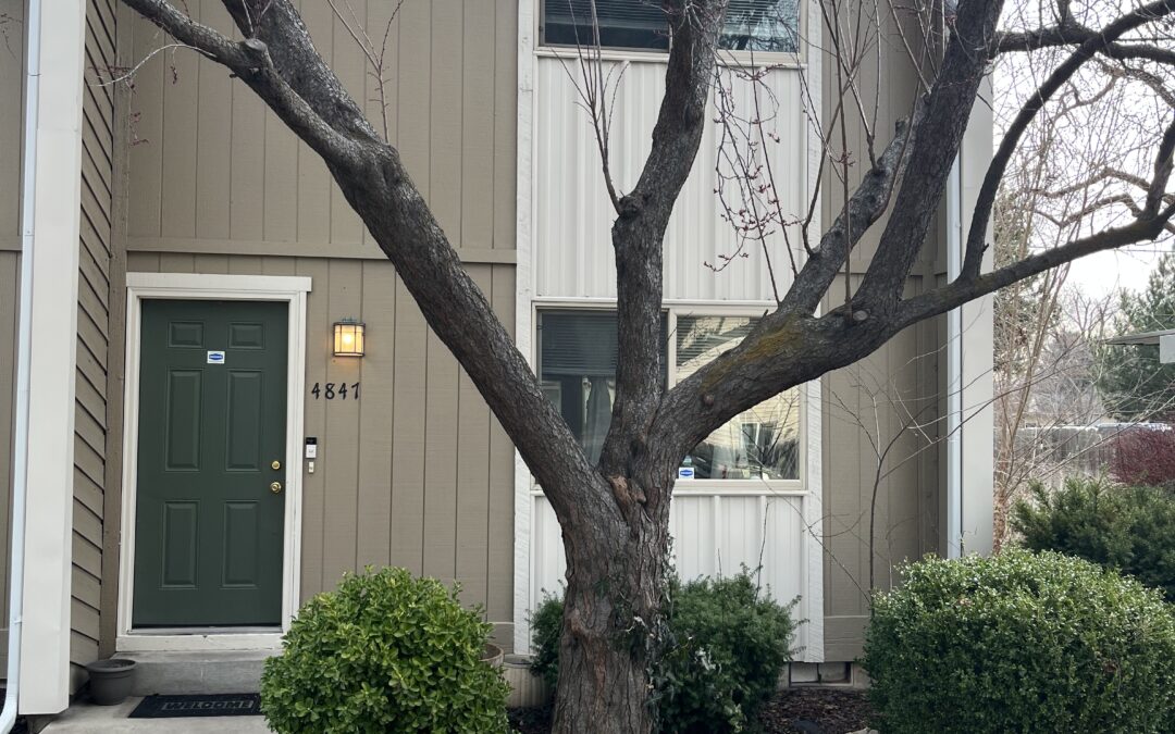 4847 W Targee St, Boise, ID 83705