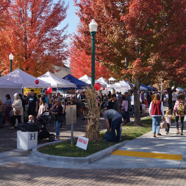 Downtown Eagle, Idaho