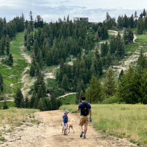 Hiking in Bogus